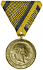 1873 General Campaign Medal