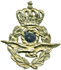 Hat badge, pilot-officer.