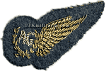 1939 pattern Full Dress Air Gunner badge.