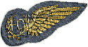 'FC' bullion dress wings.