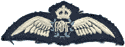RAAF WW2 pilot wings.