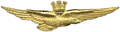 Italian Republican pilot wings - DELUXE quality