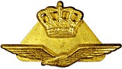 Dutch aviator's cap badge, WW2 period