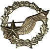 French WW1/WW2  Air Observer badge