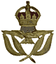 RAF Warrant Officer cab badge