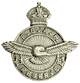 RCAF Reserve lapel pin. King's crown