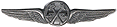 Italy - WW2. Qualification wings of Electro-Mechanic