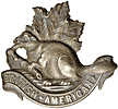 'British-American' cap badge. This was a 'King's Colonials - Imperial Yeomanry' unit - B Squadron consisting for the most part of Canadians