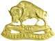 Manitoba Dragoons. Cap badge. 12th Regiment