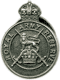 Royal Army Reserve lapel badge