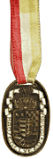 Magyar 1915-1916 medal