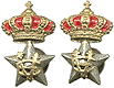 Royal Field Adjutant's collar badges. (Stellete da Aiutante Di Campo)