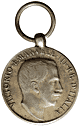 Libia (Libya) campaign medal