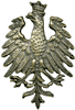Polish eagle pin