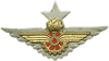 Spain 1930's Republican Railway Troops badge
